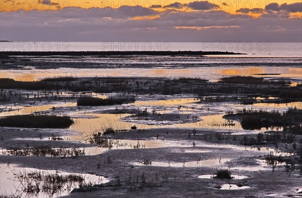 Evening landscape shortly after sunset with draining water in the Wadden Sea National Park. The Wadden Sea off the North Frisian coast is a UNESCO World Heritage Site. Dike at Strandweg, Friedrichskoog, Schleswig-Holstein, Germany, Europe