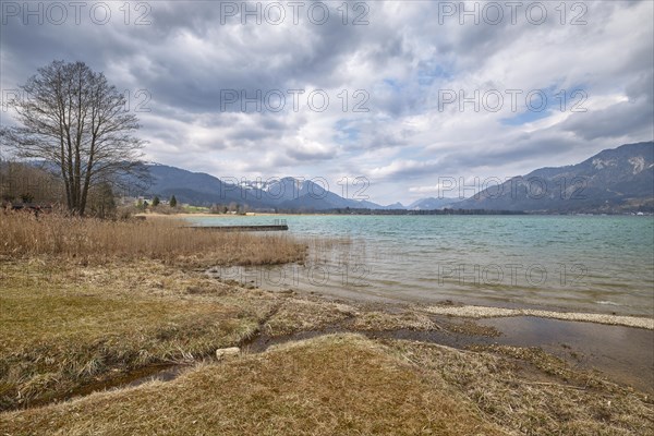 Blinklingmoos at Lake Wolfgang, nature reserve, Upper Austria, Austria, Europe