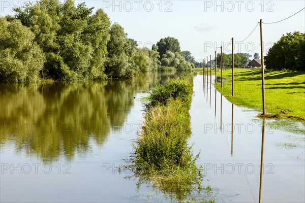 Flooding after heavy rain in North Rhine-Westphalia, nature reserve on the Grietherort and Bienener Altrhein, road flooded, flooding, alluvial deposits, Rees, North Rhine-Westphalia, Germany, Europe