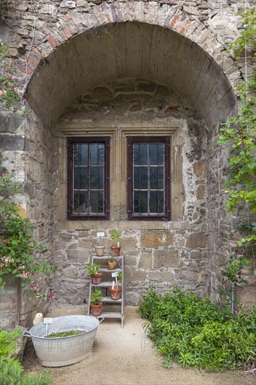 Michaelstein Monastery, Herb Garden, Detail, Blankenburg, Harz Mountains, Saxony-Anhalt, Germany, Europe