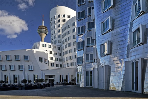 The Neue Zollhof with two Gehry buildings and the Rhine Tower, Duesseldorf, North Rhine-Westphalia, Germany, Europe