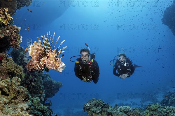 Diver, female diver, two, couple, looking at, looking at lionfish
