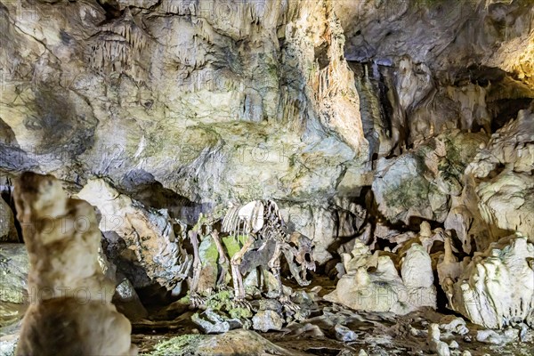 Baerenhoehle, with around 8, 000 visitors a year, the dripstone cave is the most visited show cave in the Swabian Alb, Sonnenbuehl, Baden-Wuerttemberg, Germany, Europe