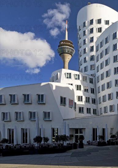 The New Customs Yard with a Gehry Building and the Rhine Tower, Duesseldorf, North Rhine-Westphalia, Germany, Europe