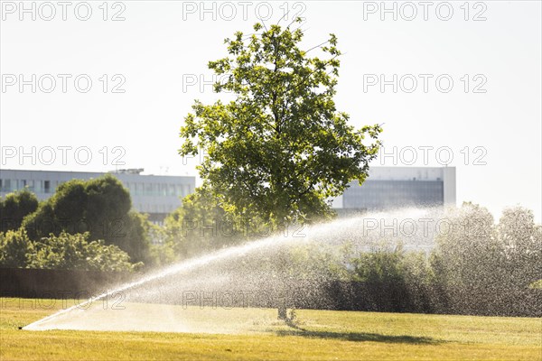 A meadow and a tree are watered in the government district Berlin, 22.06.2022., Berlin, Germany, Europe