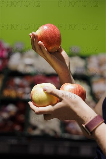 Selection of apples., Radevormwald, Germany, Europe