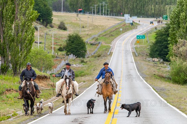 Three gauchos riding horses, accompanied by dogs, on a road in Villa Cerro Castillo, Cerro Castillo National Park, Aysen, Patagonia, Chile, South America