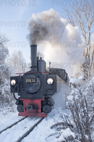 Winter steam locomotive ride of the Steyrtalbahn museum railway in Gruenburg, Upper Austria, Austria, Europe