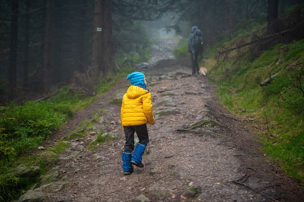 Mum and her little son go on a mountain trail in wet autumn weather. They are accompanied by a dog. Polish mountains