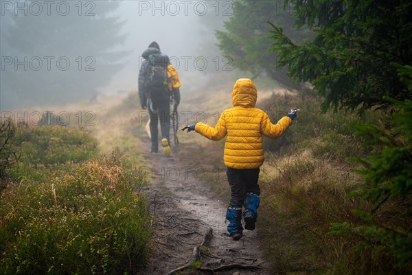 Mom with her son and dogs walk over logs lying on a small stream. Polish mountains