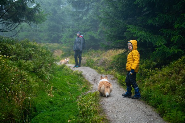 Mum and her little son go on a mountain trail in wet autumn weather. They are accompanied by a dog. Polish mountains