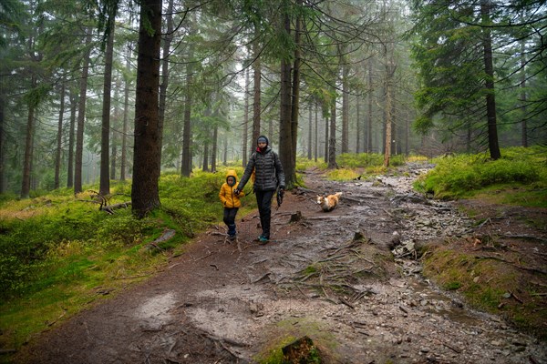 Mum and her little son go on a mountain trail in wet autumn weather. They are accompanied by a dog. Polish mountains