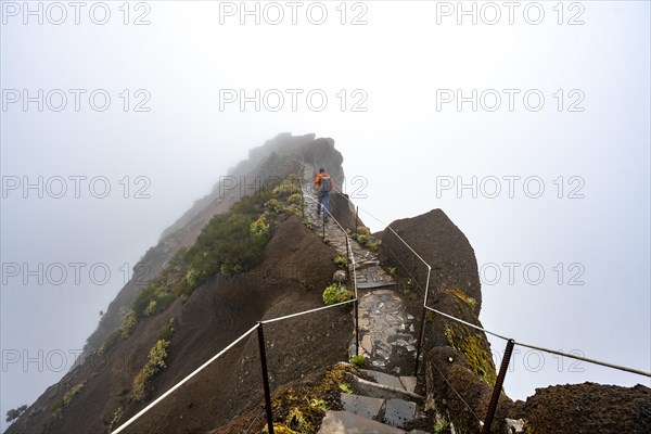 Hikers in the mist