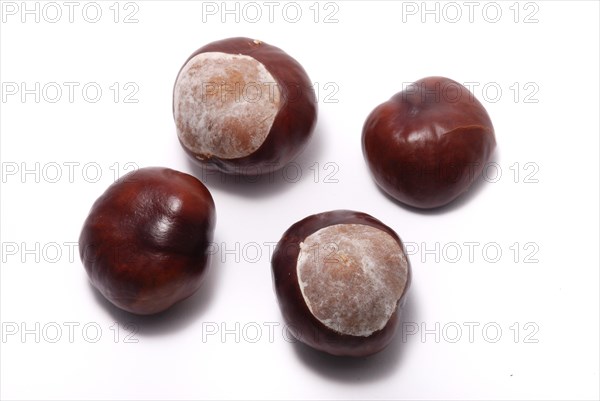 Chestnuts