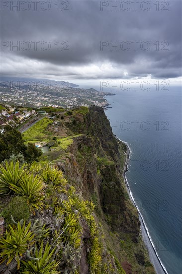 View of the cliffs from the viewing platform