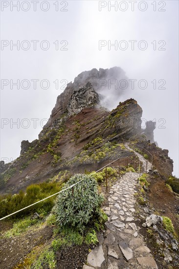 Hiking trail in the fog