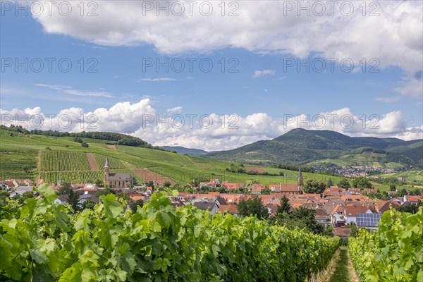 Village view Birkweiler