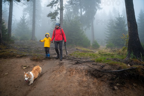 Mum and her little son go on a mountain trail in wet autumn weather. They are accompanied by a dog. Polish mountains