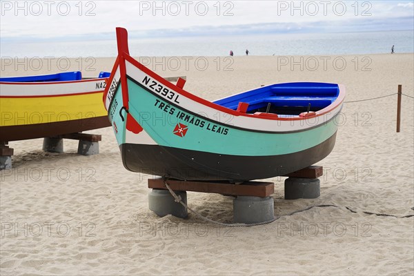 Fishing boats