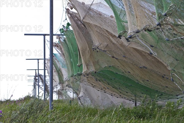 Fishing nets on Langeland