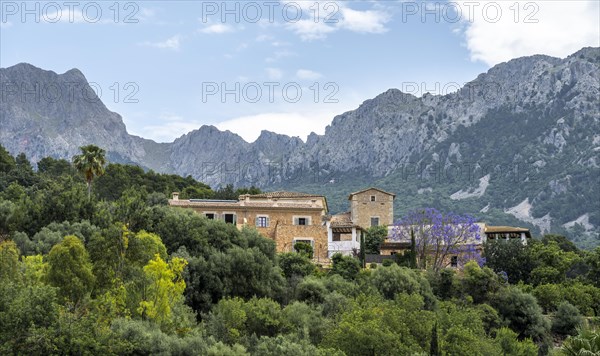 Typical houses of the mountain village Binibassi