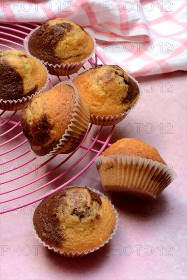 Chocolate Muffins on Cake Rack