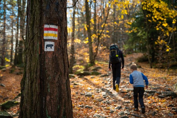 Mum and child are walking along the mountain hiking trail. Family spending time. Polish mountains