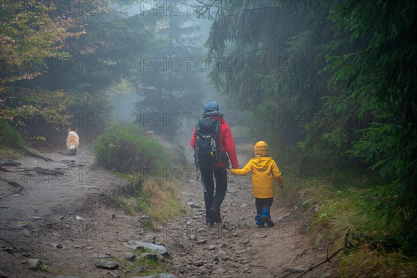 Mum and her little son go on a mountain trail in wet autumn weather. They are accompanied by a dog. Polish mountains