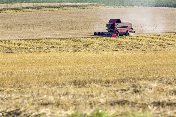 Grain harvest