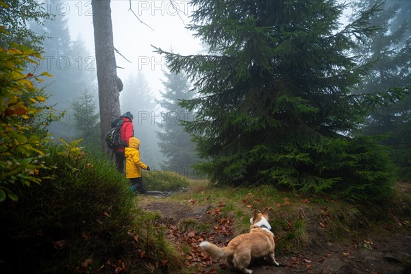 Mum and her little son go on a mountain trail in wet autumn weather. They are accompanied by a dog. Polish mountains