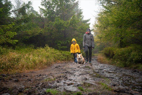 Mum and her little son go on a mountain trail in wet autumn weather. They are accompanied by a dog. Polish mountains