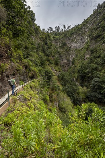 Hikers on the trail at Levada Nova