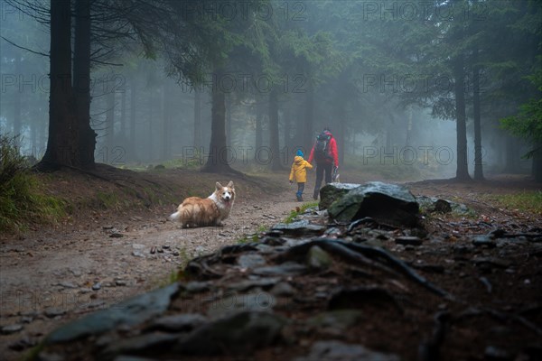 Mum and her little son go on a mountain trail in wet autumn weather. They are accompanied by a dog. Polish mountains