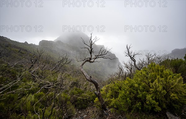 Cloud-covered mountains