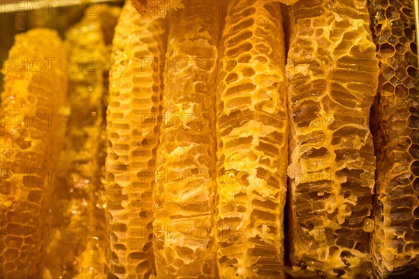 Sweet fresh honey in the sealed comb frame