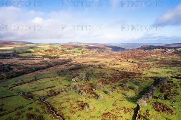 View over Emsworthy Mire from a drone