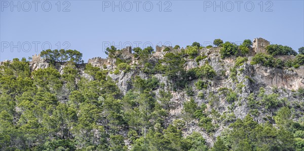 Castell d Alaro castle on a cliff