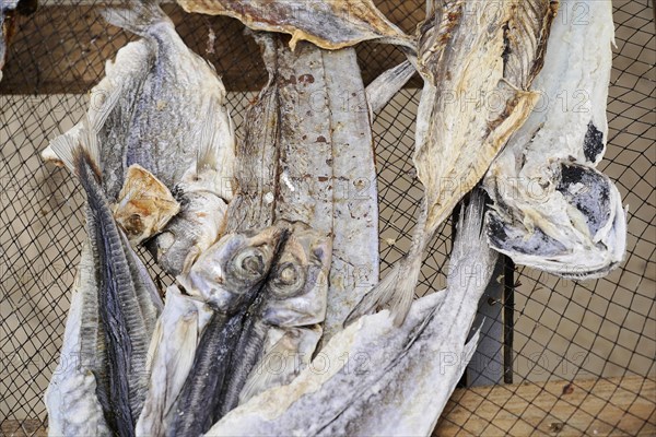 Fish drying