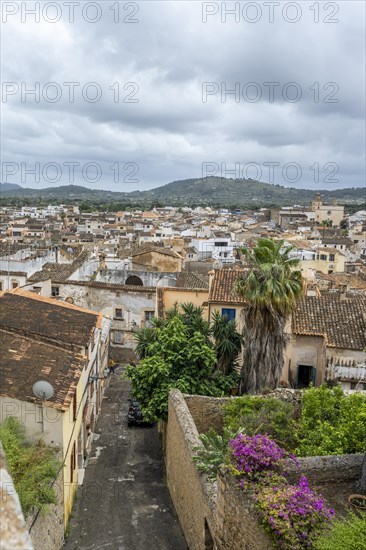 View of Arta with old houses