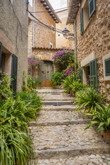 Flower pots in an alley with typical stone houses