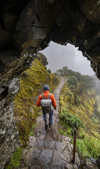 Hikers in the fog