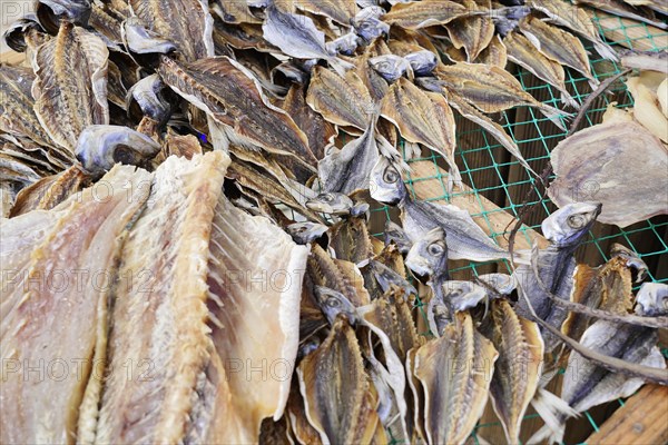 Fish drying