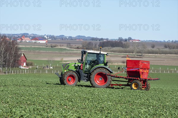 Fertilizing of rapeseed in springtime in Vemmenhoeg