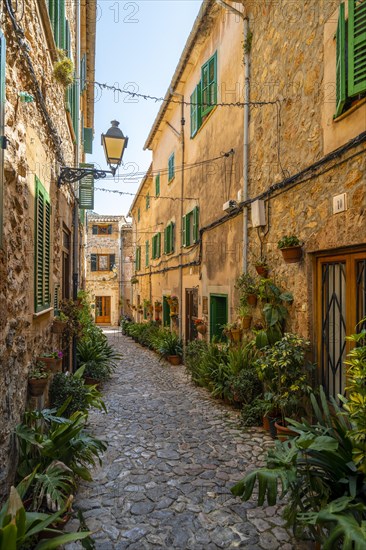 Flower pots in an alley with typical stone houses