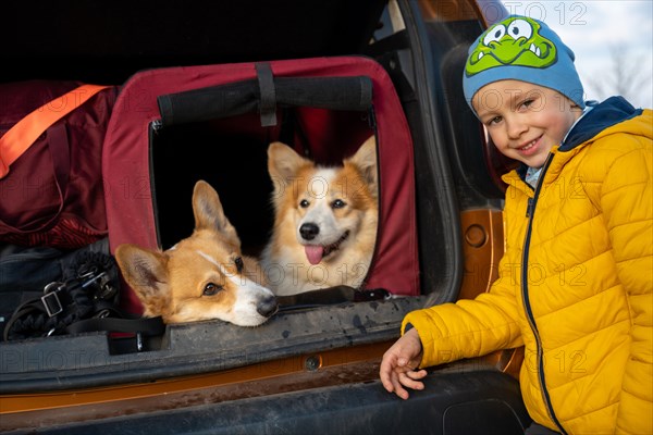 Tired dogs sit in the kennel in the trunk of the car. Polish mountains