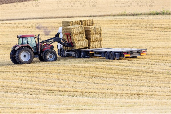 Straw is loaded onto a truck after threshing