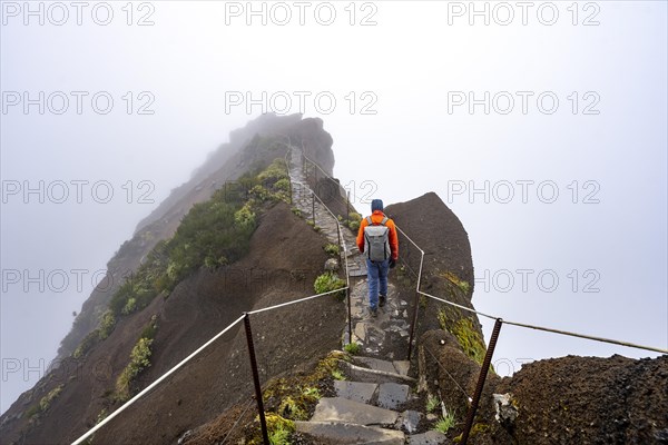 Hikers in the mist