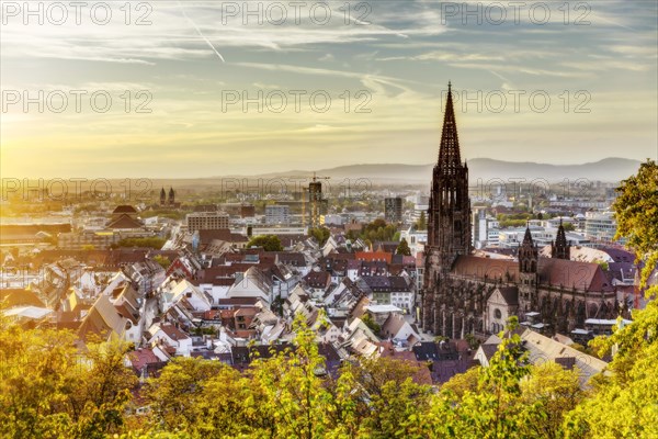 City view with cathedral