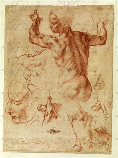 Studies for the Libyan Sibyl