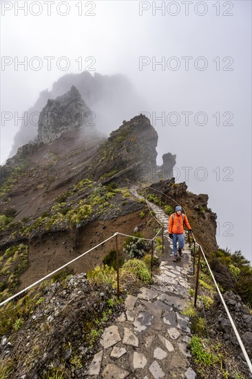 Hikers in the mist